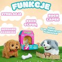  Piesek Interaktywny Pluszak z Kością Pudel Husky