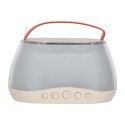 Zestaw do karaoke głośnik Bluetooth LED RGB 2 mikrofony USB