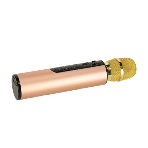 Mikrofon bezprzewodowy karaoke dla dzieci głośnik Bluetooth 2000mAh karta SD USB wysoka jakość złoty
