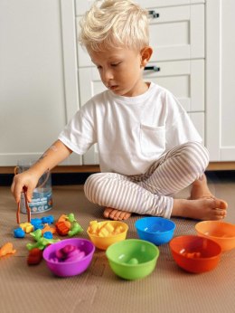  Gra Edukacyjna Montessori Sorter Kolorów Pojazdy 44 el.
