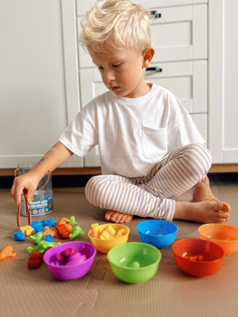  Gra Edukacyjna Montessori Sorter Kolorów Pojazdy 44 el.