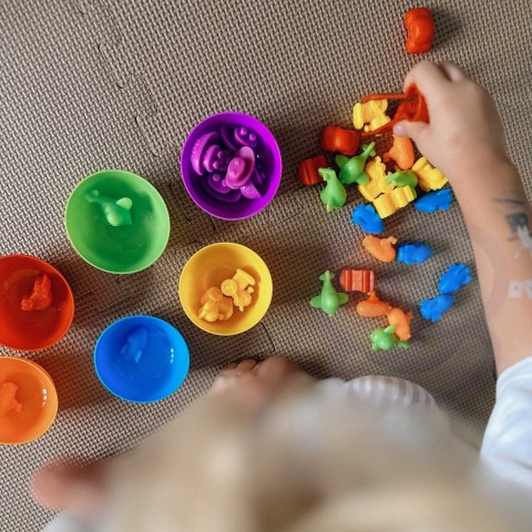  Gra Edukacyjna Montessori Sorter Kolorów Pojazdy 44 el.