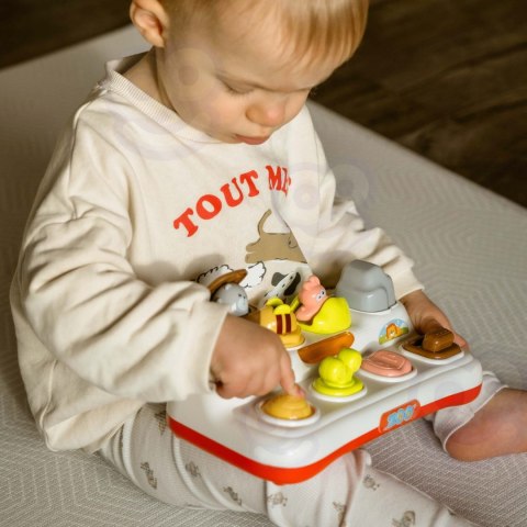  BABY Zabawka Edukacyjna Wyskakujące Zwierzątka ZOO Pop Up