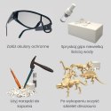  Wykopalisko "Mały Archeolog" 6 Szkieletów Dinozaurów