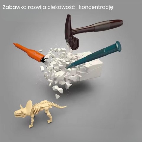  Wykopalisko "Mały Archeolog" 6 Szkieletów Dinozaurów