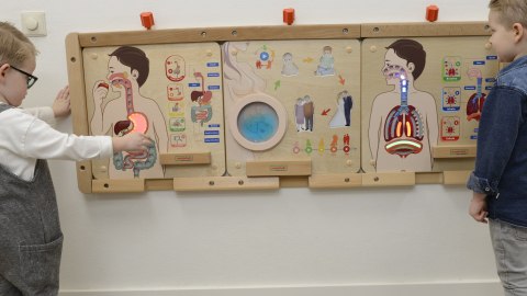  Tablica Edukacyjna Układ Trawienny Montessori