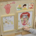  Tablica Edukacyjna Zmysł Smaku Montessori