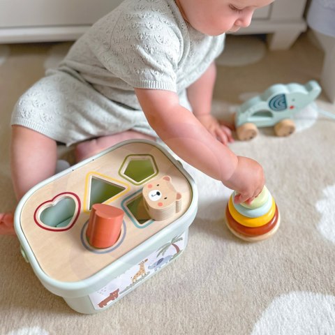  GREEN Pudełko Sorter Box 3w1 Klocki Piramidka Słonik FSC