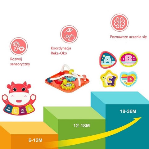  BABY Interaktywna Kostka Sensoryczna Edukacyjna Montessori Sorter 6w1