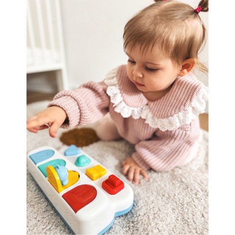  BABY Zabawka Edukacyjna Wyskakujące Zwierzątka POP-UP