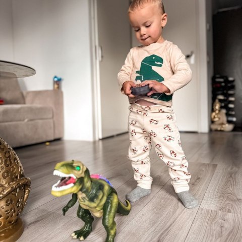  Dinozaur Zdalnie Sterowany RC Robot T-Rex