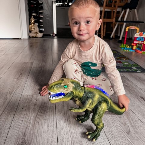  Dinozaur Zdalnie Sterowany RC Robot T-Rex