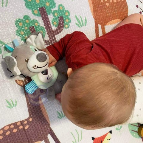  BABY Interaktywny Pluszak Przytulanka dla Niemowląt Światło Dźwięk Piesek Usypiacz