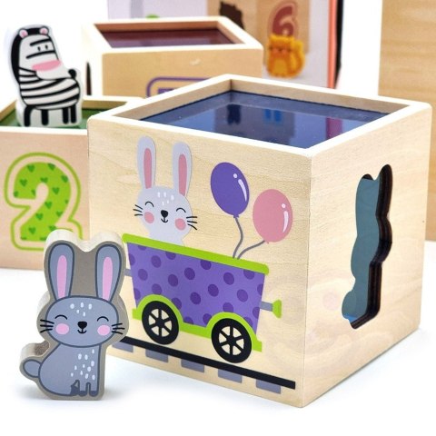  Drewniana Piramidka Edukacyjna Montessori Sorter Klocki Układanka